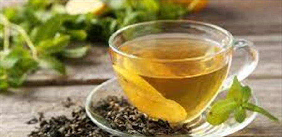 منها الحوامل... 6 فئات ممنوعة من تناول الشاي الأخضر