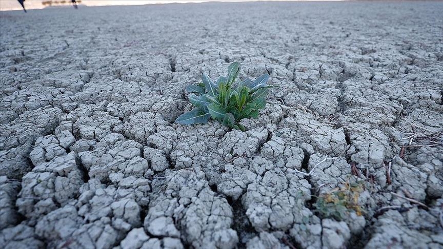 متخصصون يربطون بين التغير المناخي وموجات الحر المتطرفة
