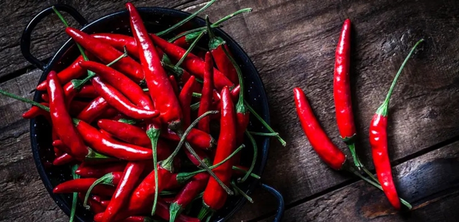 الفلفل الحار مفيد للحوامل.. اليكم آخر ما توصلت اليه الدراسات