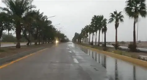 الأرصاد: زخات مطرية ورياح نشطة فوق العقبة مع تشكل غيوم رعدية