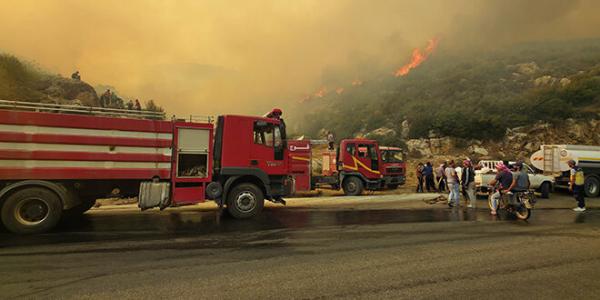 احتراق مساحات واسعة في حماة واللاذقية يجبر عائلات على النزوح