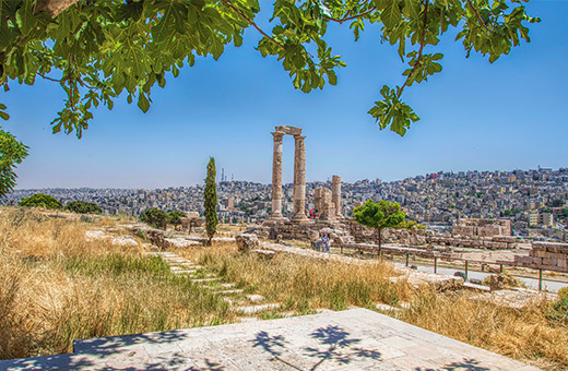 أكثر من 86 ألف مشارك في برنامج أردننا جنة