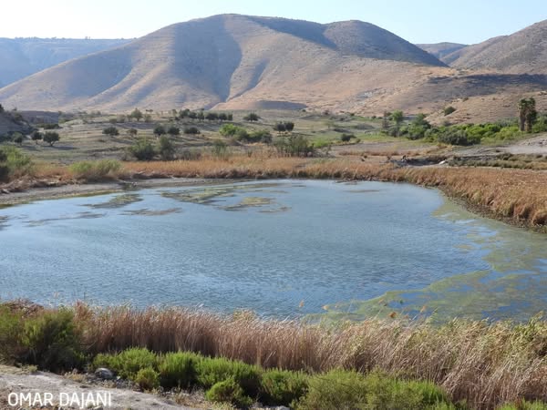 عملية إنقاذ ناجحة لبركة العرايس بعد أن عانت من الجفاف منذ بداية الصيف الحالي