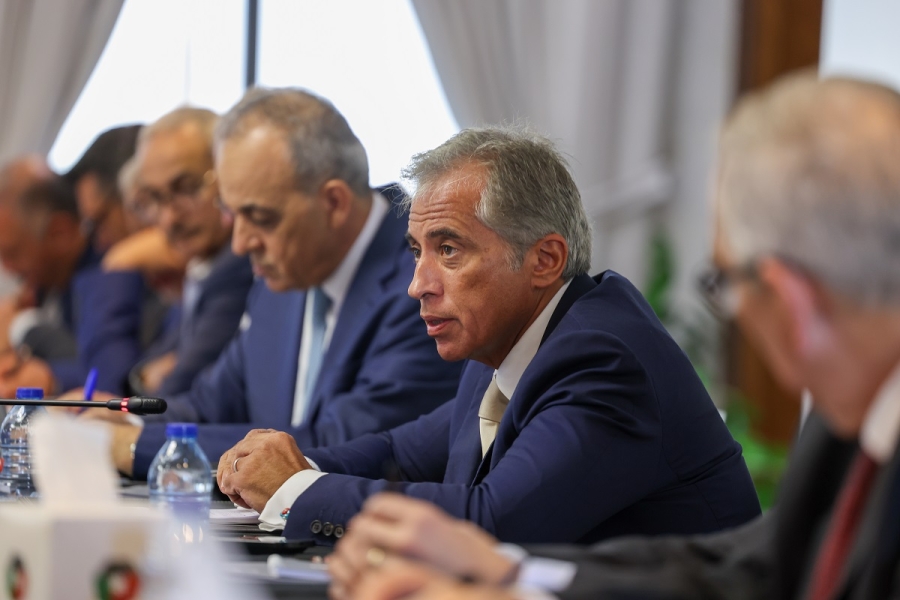 حسّان يشارك في جلسات العمل القطاعية لإعداد البرنامج التنفيذي الثاني لرؤية التحديث