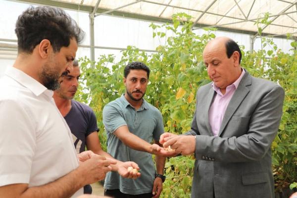 مدير عام المركز الوطني للبحوث الزراعية  يتفقد التجارب البحثية في محطة الحسين للبحوث الزراعية