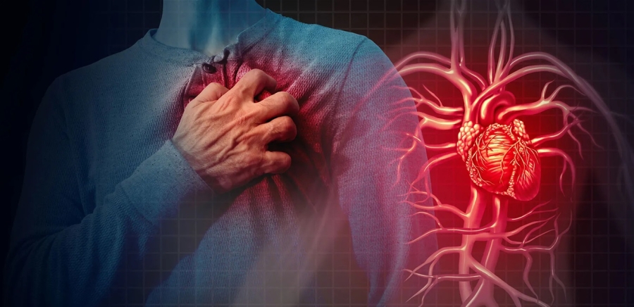 هذا آخر ما قاله باحثون عن النوبات القلبية.. تفاصيل مهمة