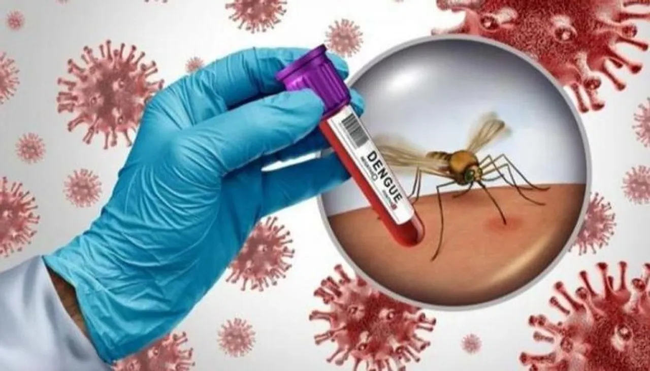 بنغلاديش تواجه تفشيا مزدوجا لحمى الضنك وشيكونجونيا