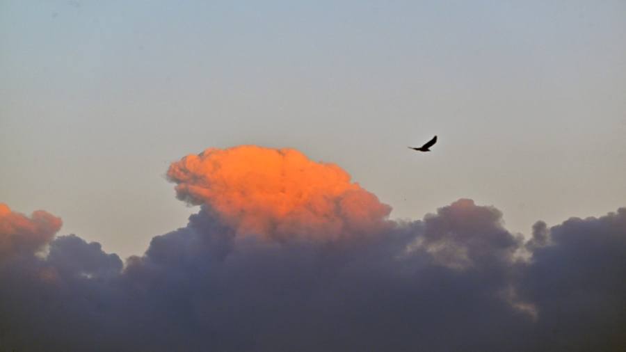 وزارة الدفاع الروسية: اعترضنا 221 مسيرة أوكرانية الليلة الماضية