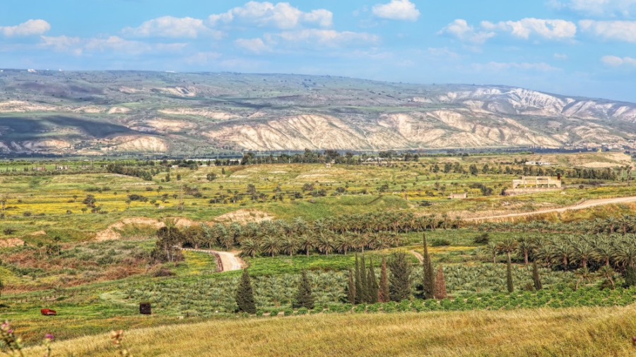 الحكومة توافق على نظام معدل لتأجير الأراضي في وادي الأردن بهدف دعم المشاريع الناشئة