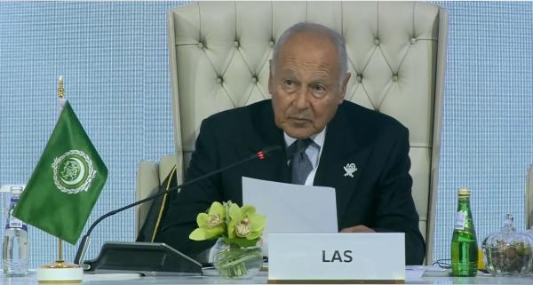 ابو الغيط: السكوت على الإجرام جريمة