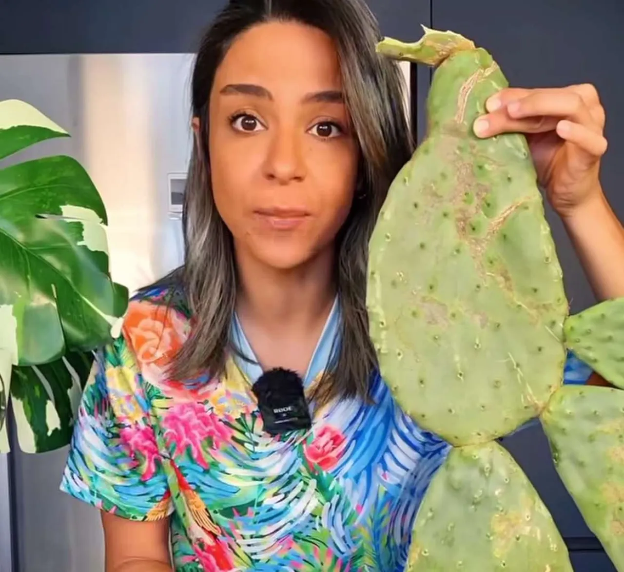 ياسمين ناصر: إسرائيل شوّهت الحمص وحوّلته إلى (خُمص)