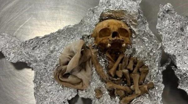 اكتشاف رفات بشري داخل حقيبة في مطار تامبا الأمريكي