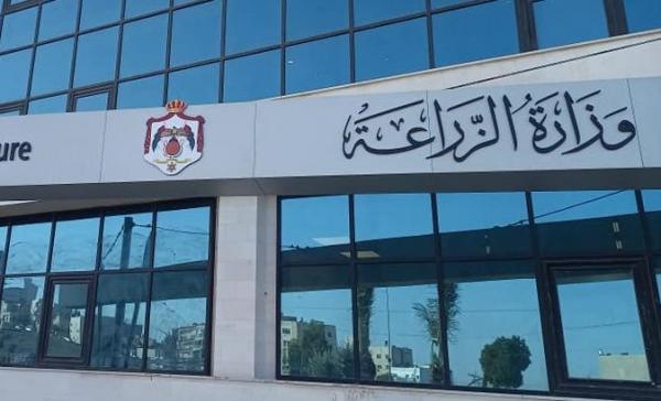 وزارة الزراعة: حماية الأصناف النباتية تعزز الأمن الغذائي والقدرة التنافسية