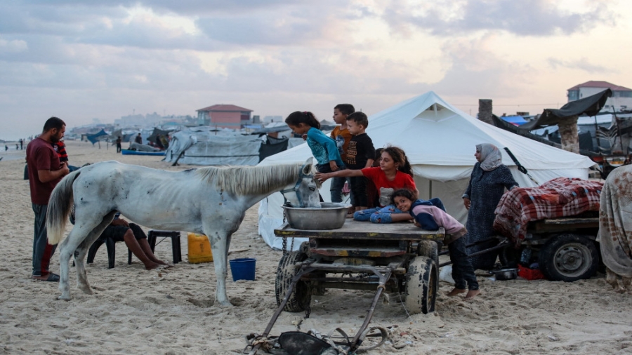 إسرائيل: 900 ألف فلسطيني نزحوا من مدينة غزة نحو جنوب القطاع