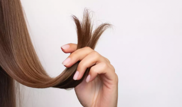 5 أنواع من البذور تُحفز نمو الشعر وتمنع تقصفه