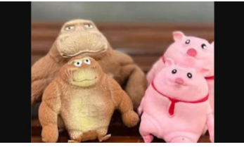 اعتقال منتجي دمى مضادة للتوتر في إيران .. ماذا فعل مرضية ومرتضى؟