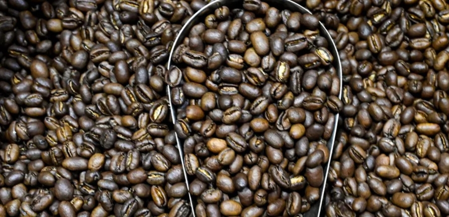 فوائد جديدة للقهوة.. ما كشفه العلماء شكل مفاجأة