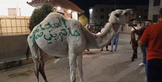 #الاردن| مواطن ينحر جملاً احتفالاً بقرار عدم مسؤوليته في قضية شائكة