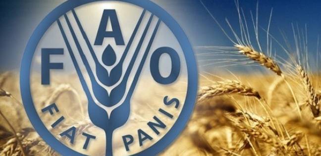 منظمة الفاو في الأردن تحتفل بـ80 عاما على تأسيسها