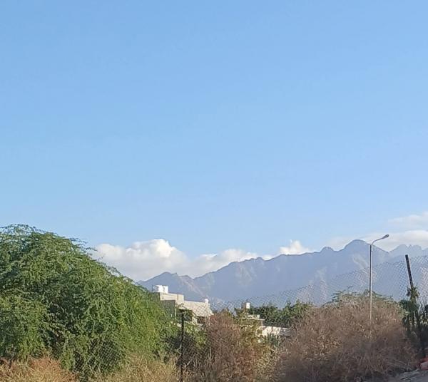 خور العقبة تكشف أسراراً عمرها أكثر من 600 مليون سنة