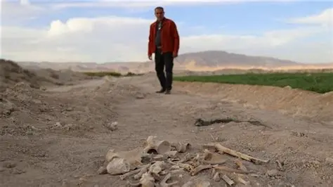 سوريا .. العثور على مقبرة جماعية في حي السحاري بدرعا