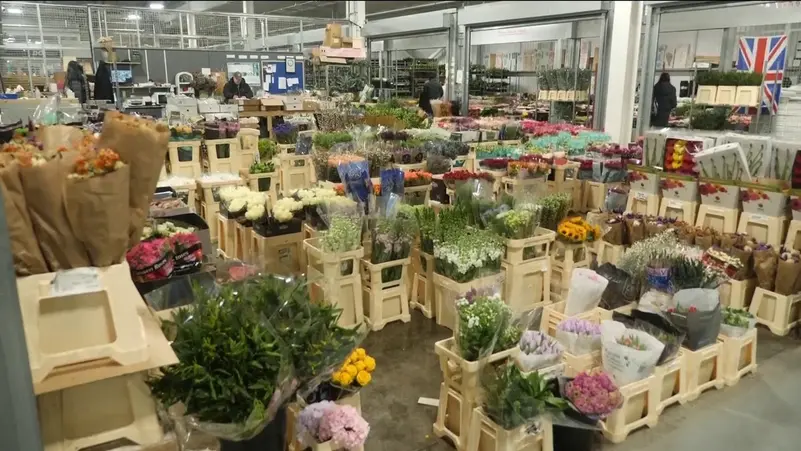 تراجع طفيف للتضخم بمنطقة اليورو في أكتوبر