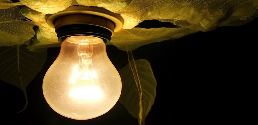 هل يزيد الضوء الصناعي ليلا من خطر الإصابة بأمراض القلب؟