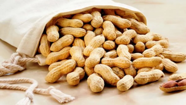 مكسرات رخيصة قيمتها غالية.. فوائد الفول السوداني على صحة الجسم والعقل