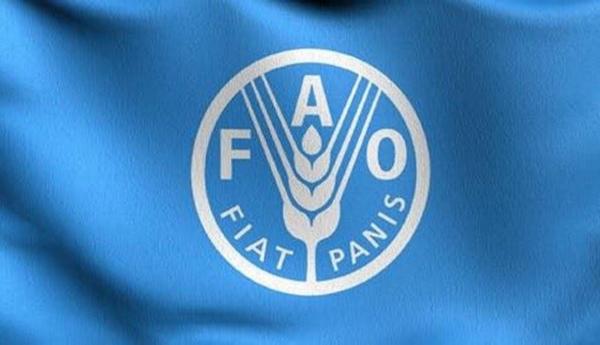 الفاو تحذر من كارثة إنسانية وزراعية غير مسبوقة في غزة