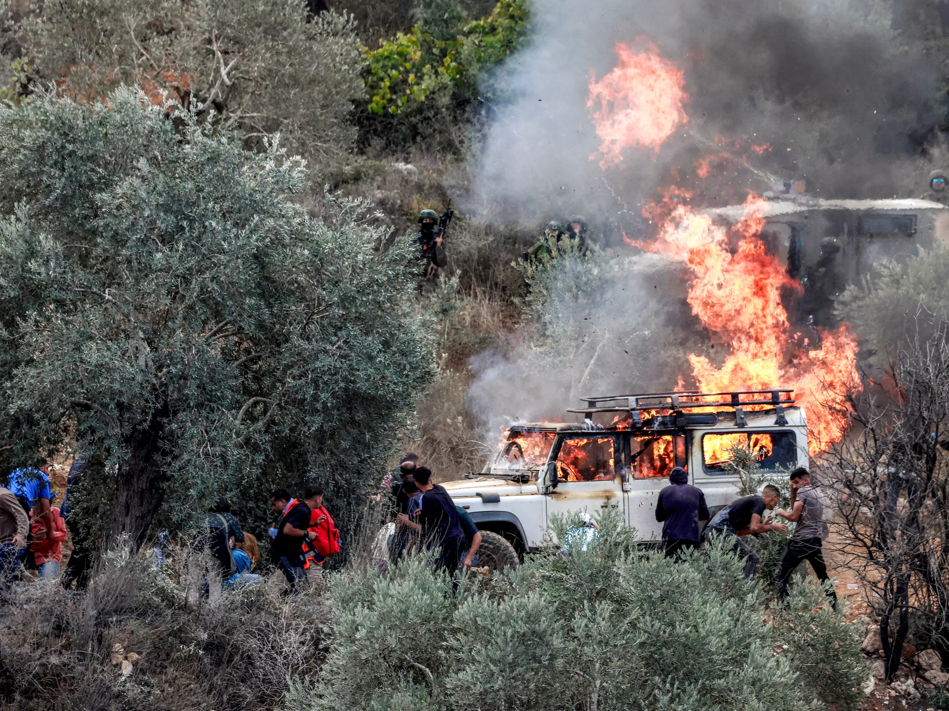 الاحتلال ينفذ 340 اعتداء على قاطفي الزيتون ويعتقل 20 فلسطينيا ويهدم منزلين