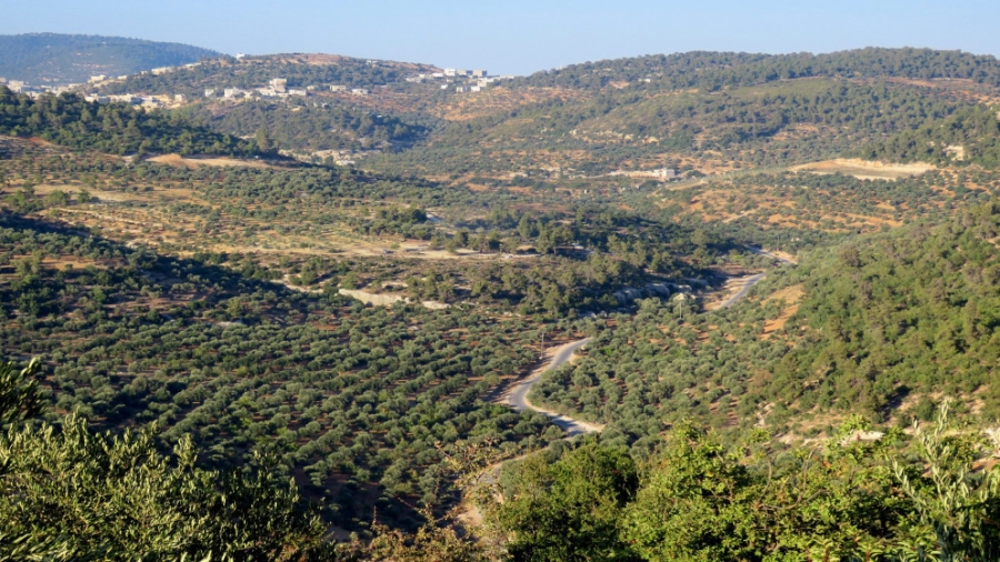 الزراعة تستبعد تأثر المحاصيل سلبا إذا بقي الموسم المطري كما العام الماضي