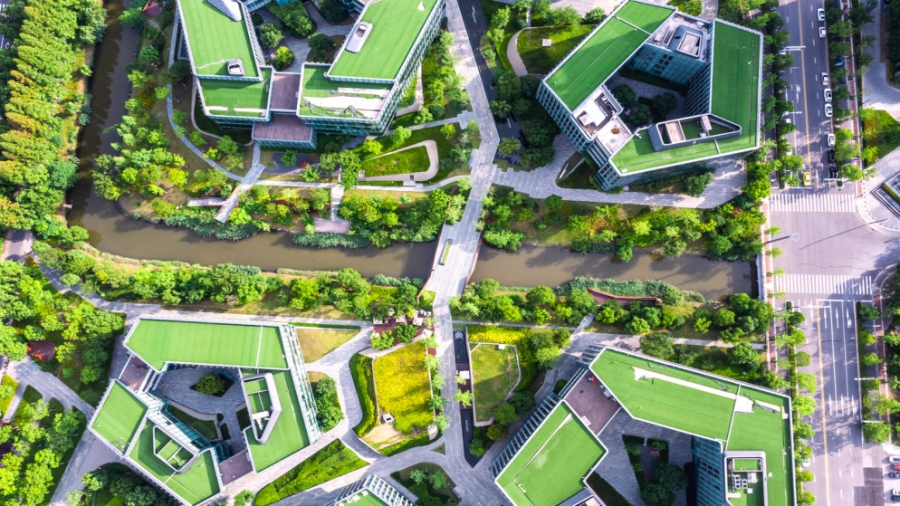 وزير الإدارة المحلية: مدينة عمرة الجديدة ستكون مدينة خضراء نموذجية