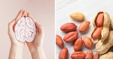 دراسة تكشف: الفول السودانى بقشره يعزز الذاكرة ويحسن تدفق الدم فى الدماغ