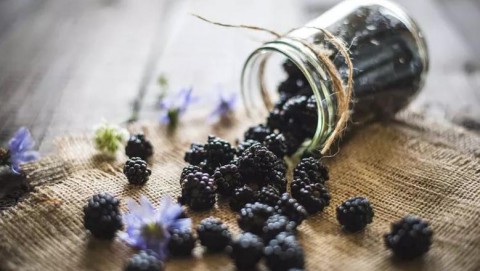 توت شتوي يحارب نزلات البرد ويعزز المناعة