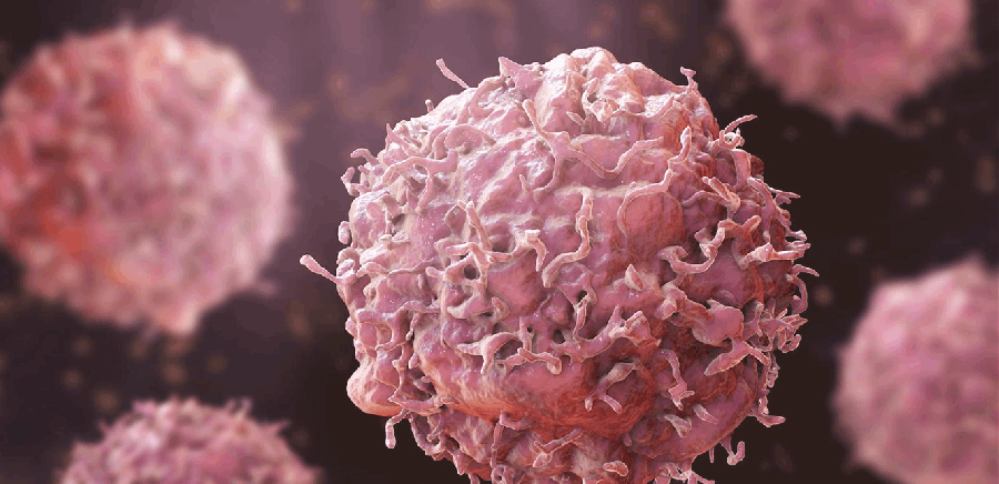 دراسة تكشف عن سلاح ضد الجهاز المناعي لدى مرضى السرطان