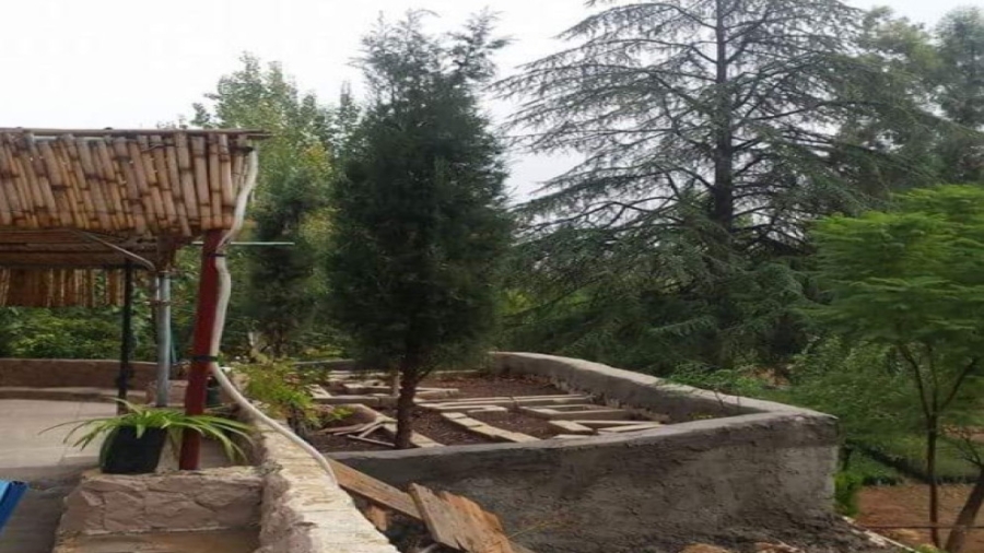 تحويل مشتل عين جِمَلا لإنتاج أشتال الزينة ضمن استراتيجية الزراعة 2026