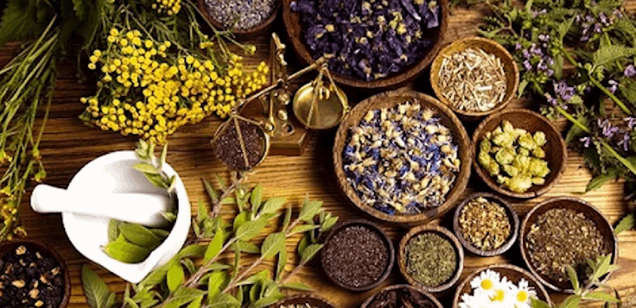 مكملات عشبية تُقوّي.. وقد تُتعب الكبد إذا أسيء استخدامها