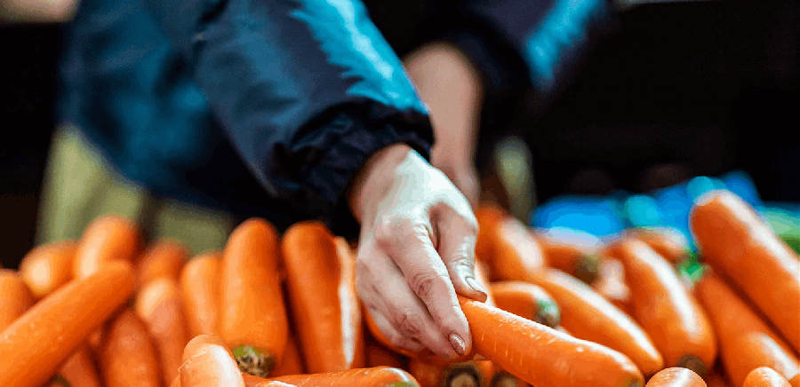 السر الحقيقي خلف أسطورة الجزر يقوي النظر