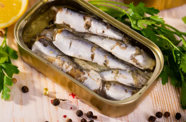 السردين أم التونة .. أيهما أغنى بأحماض أوميغا3 والبروتين؟