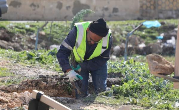 الإدارة المحلية توجّه البلديات لغرس 250 ألف شجرة بحملة التشجير والتخضير