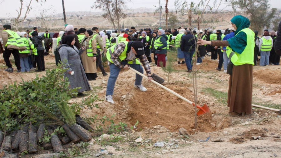 وزارة الإدارة المحلية تطلق حملة وطنية لزراعة أكثر من ربع مليون شجرة