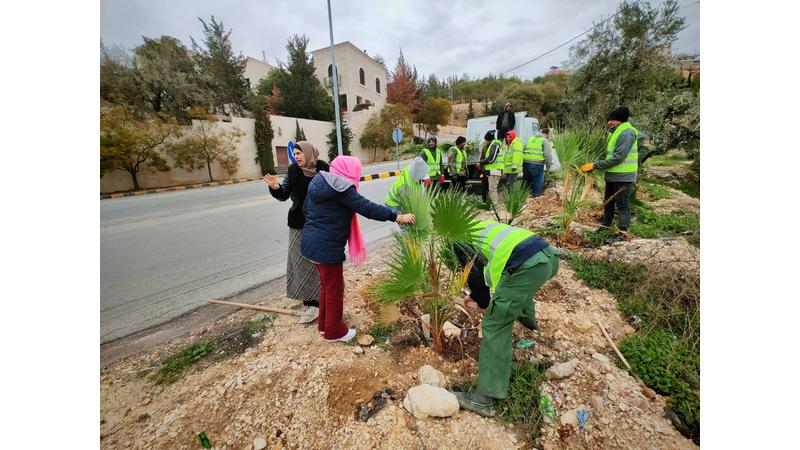 انطلاق حملة التشجير الوطني في السلط