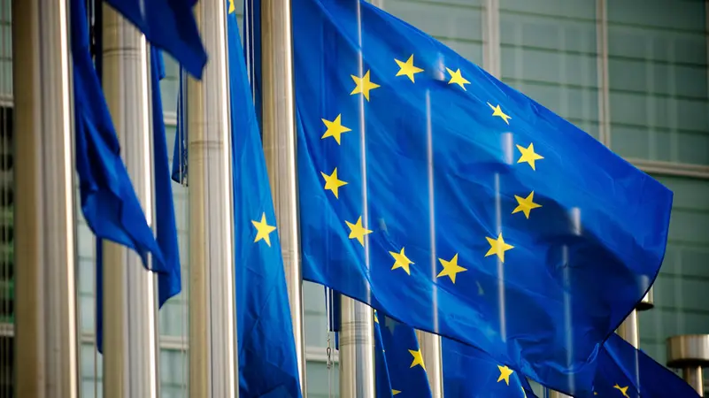 الاتحاد الأوروبي: تشكيل حكومة يمنية جديدة خطوة لاستقرار الوضع